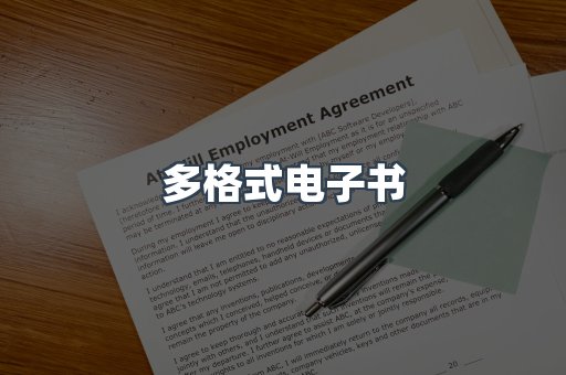 多格式电子书